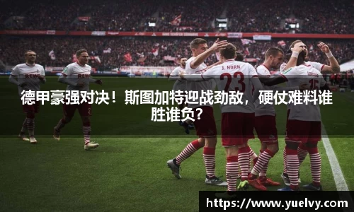 中欧体育